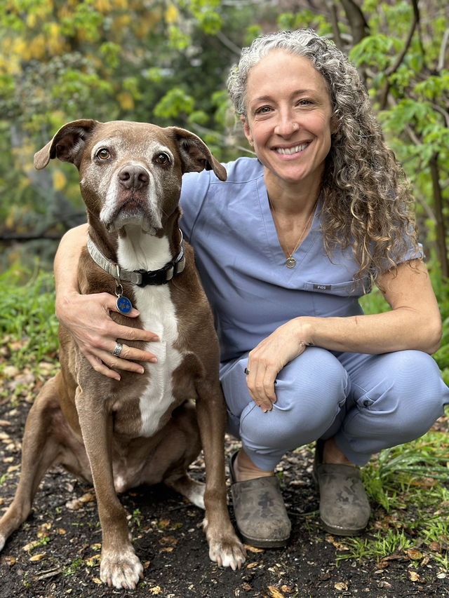 Our Team Ross Valley Veterinary Hospital